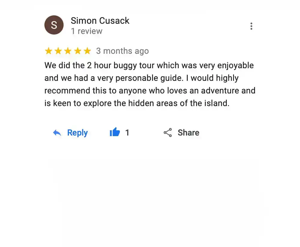 google review